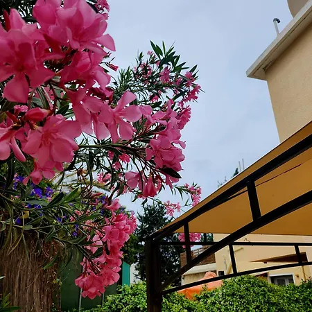 Seaside Private Garden Terrace Bbq And Pool *